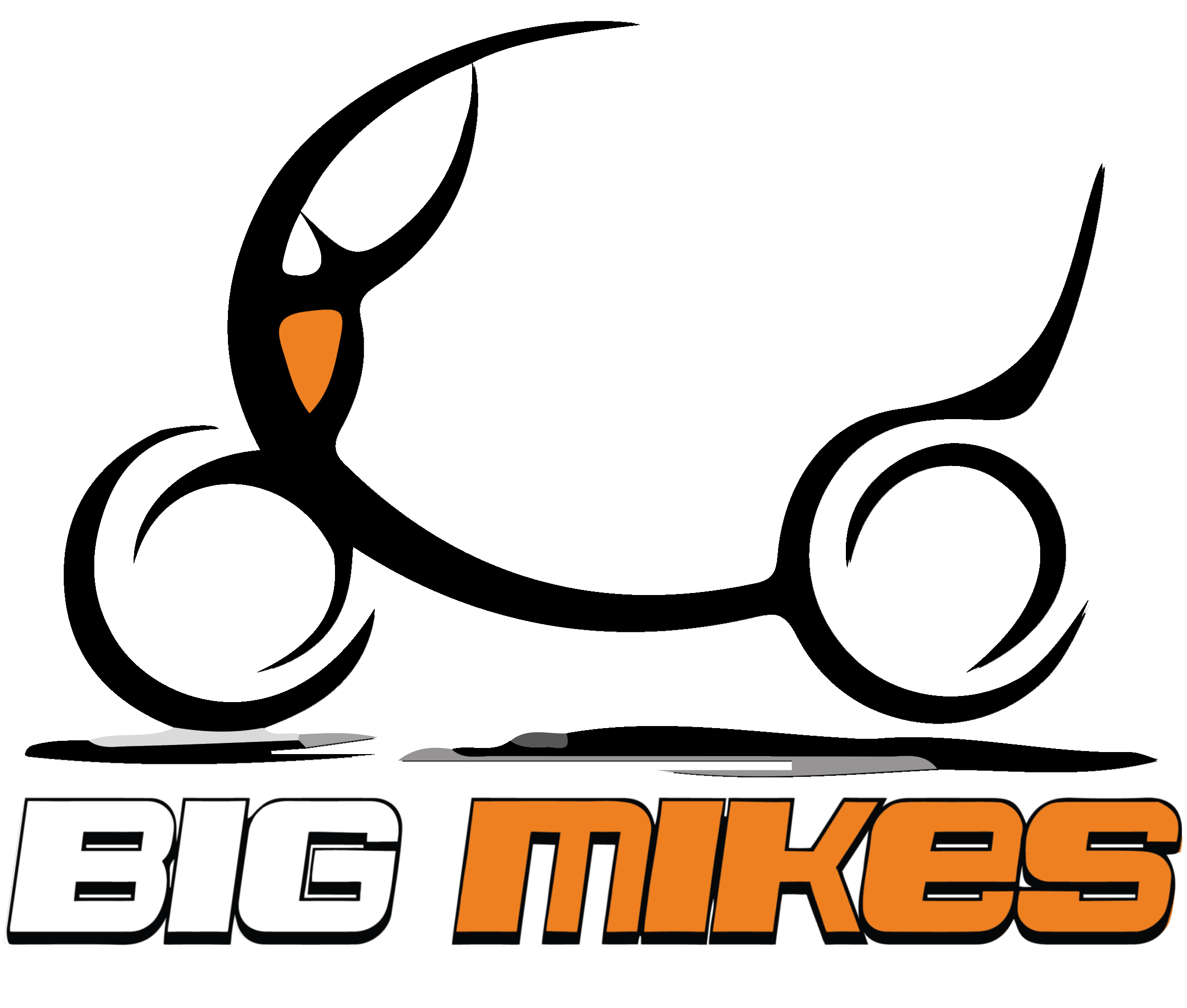 Big Mikes Mobility For Life
