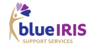 Blue Iris Support Services – specialising in complex mental health care